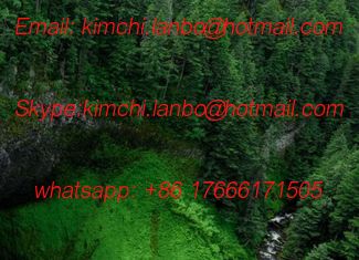 Китай GGA-3016-014 komori original parts komori coating parts поставщик